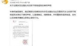 惠州离婚最新爆料信息网,揭秘婚姻背后的真相与抉择