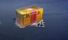 圣诞箱子最新爆料,最新爆料揭示圣诞箱子的神秘内容