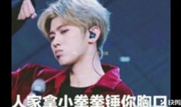 最新爆料坤坤表情包,网友直呼笑到肚子疼！