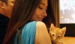 爆料最新郭碧婷照片,优雅气质尽显！