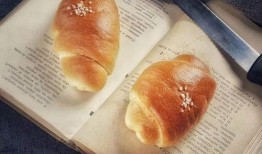 面包爆料视频大全最新版,最新版精彩内容大盘点