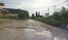 羊村最新爆料,最新爆料揭示羊村背后的惊人真相