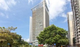 深圳大厦爆料最新消息新闻,最新爆料揭示惊人真相