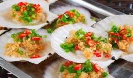 爆料扇贝测评视频大全最新,最新视频大全深度解析