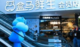 盒马最新爆料,揭秘未来超市新趋势！”